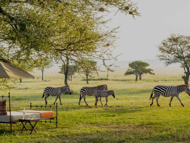 12 Days Tanzania Romantic Luxury Honeymoon Safari