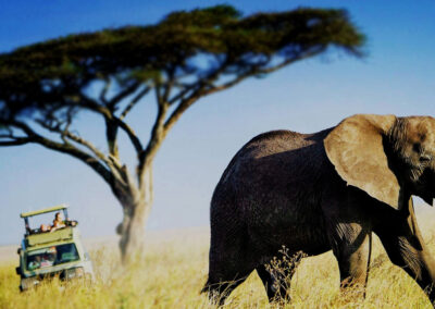 4 Days Tanzania Budget Joining Safari