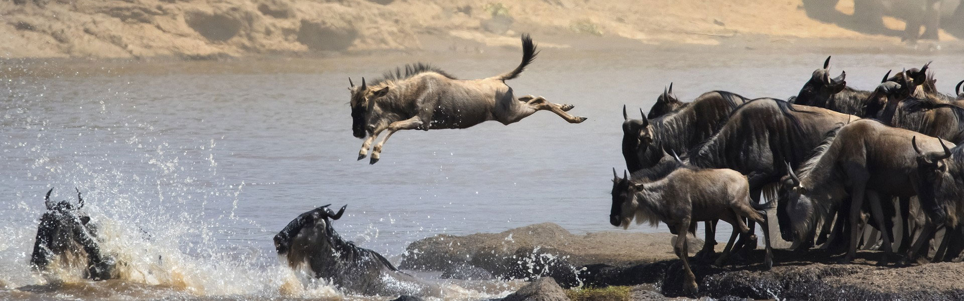 14 Days Lodge Safari to Wildebeest Migration
